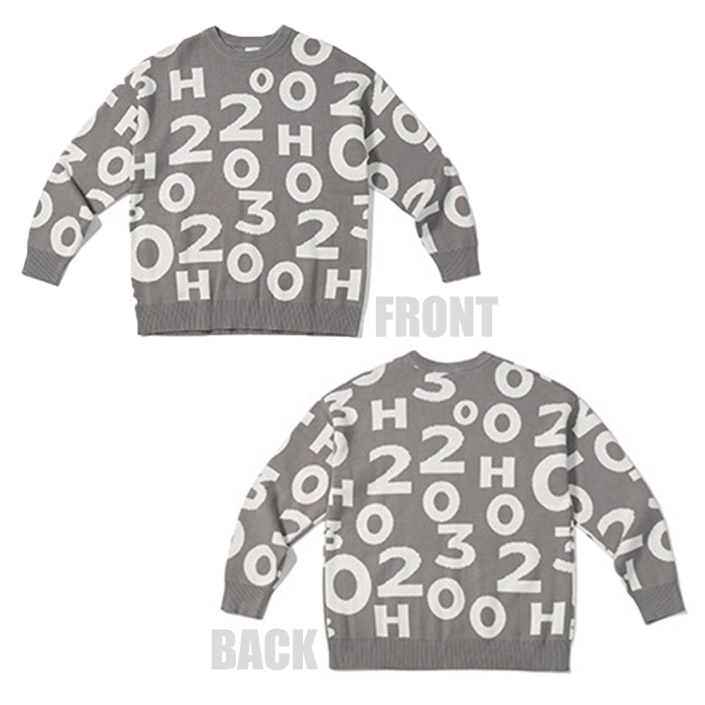 DIGITAL CREW NECK KNIT PULLOVER SWEATER