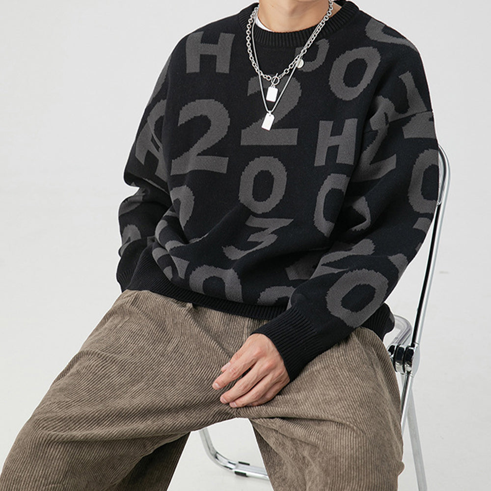 DIGITAL CREW NECK KNIT PULLOVER SWEATER