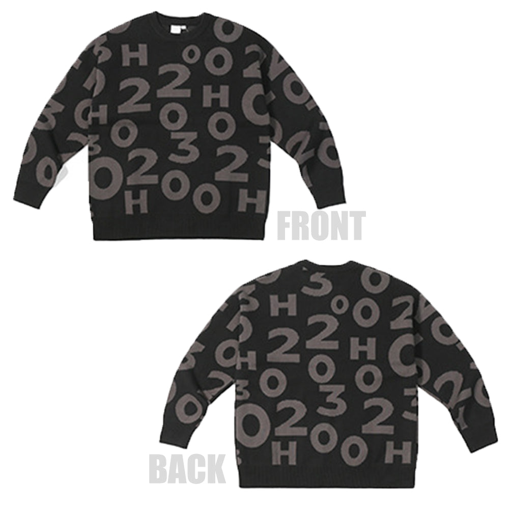 DIGITAL CREW NECK KNIT PULLOVER SWEATER