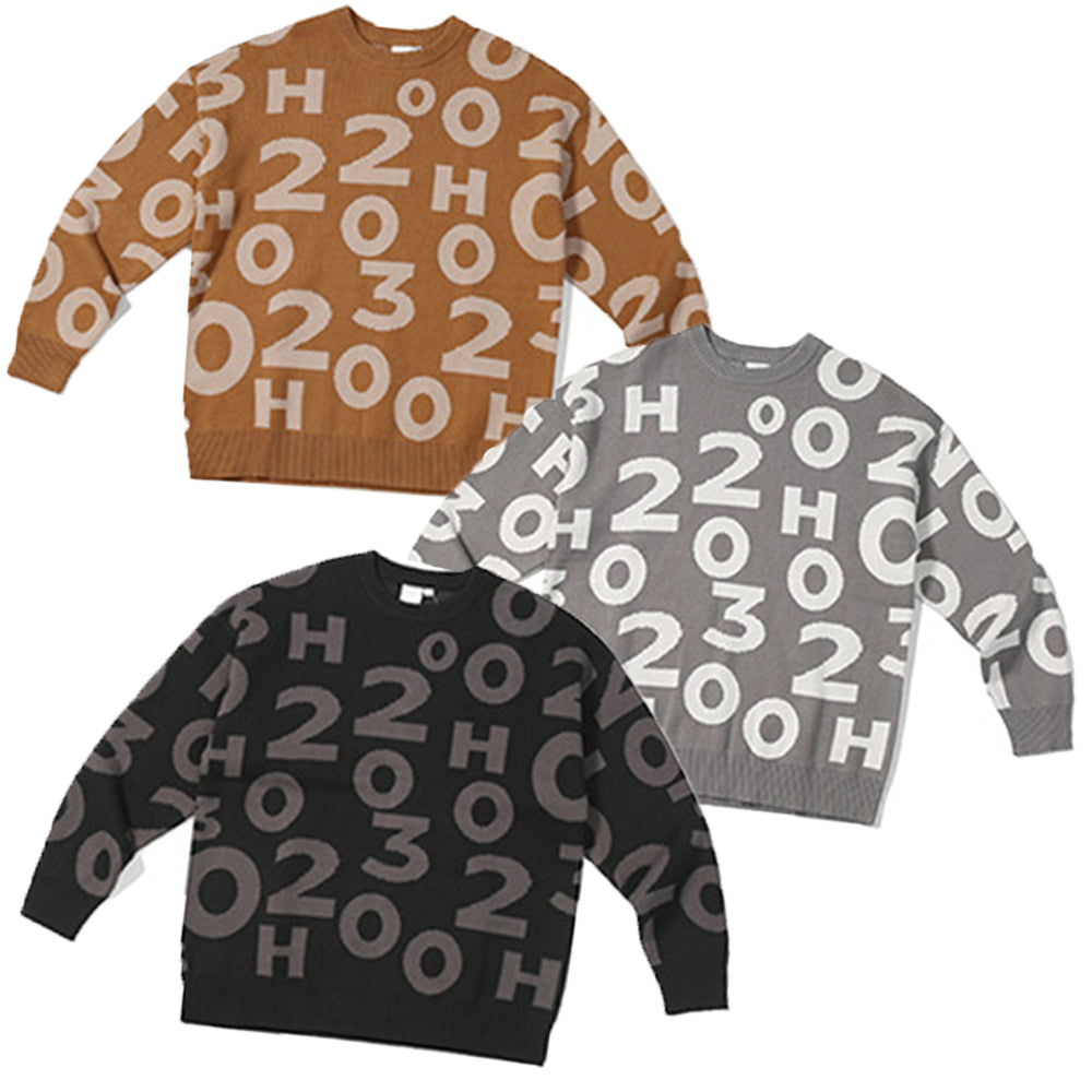 DIGITAL CREW NECK KNIT PULLOVER SWEATER